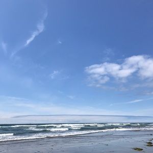 Meet your Posher, Lily